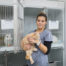 Tierarztpraxis Tribuswinkel Therapie und Behandlung